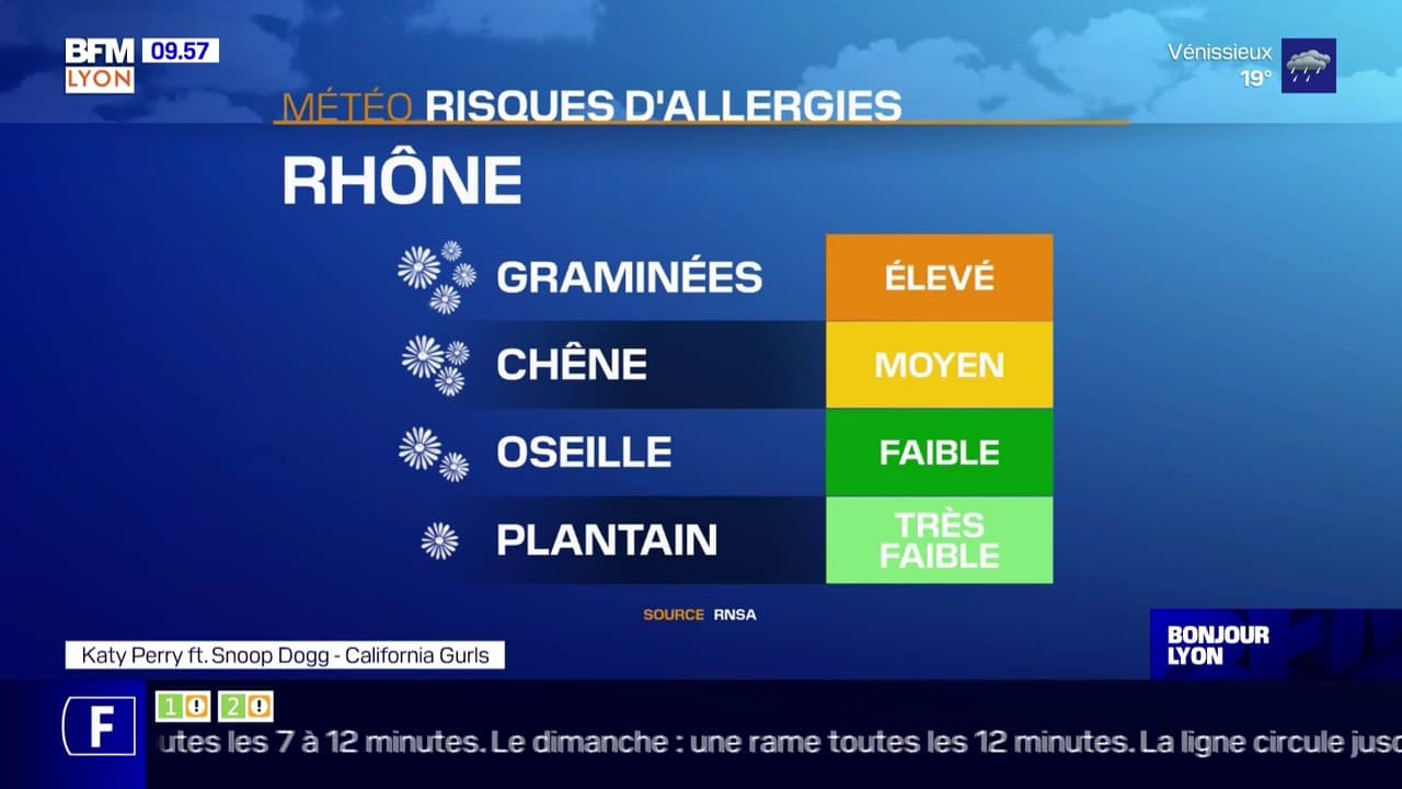 Un bulletin des risques d'allergies est proposé tous les jours.