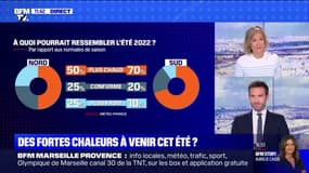 Comment s'annonce la météo de cet été? BFMTV répond à vos questions