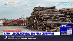 Normandie: la demande en bois pour se chauffer explose