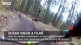 Deux cyclistes échappent à un ours
