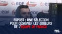 Esport : Une sélection à Clairefontaine pour désigner les joueurs de l'équipe de France