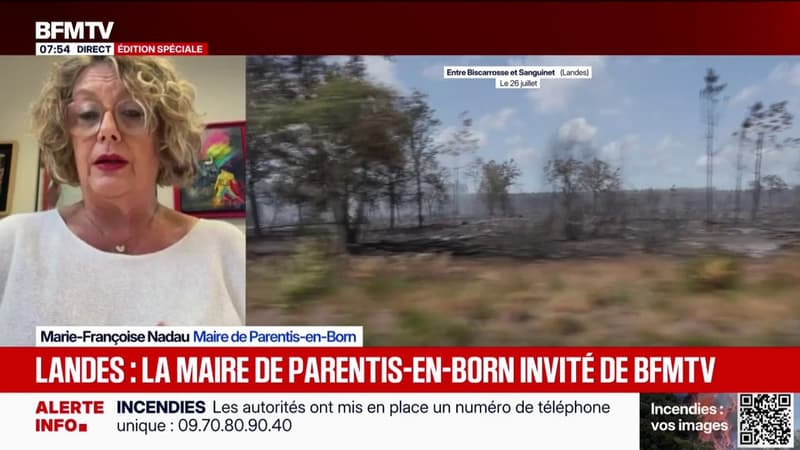 Incendie dans les Landes: "La météo ce matin nous semble plutôt favorable", déclare Marie-Françoise Nadau, maire de Parentis-en-Born