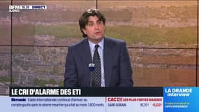Philippe d'Ornano (Sisley) : Le cri d'alarme des ETI - 31/03