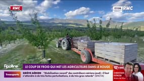 Le coup de froid qui met les agriculteurs dans le rouge
