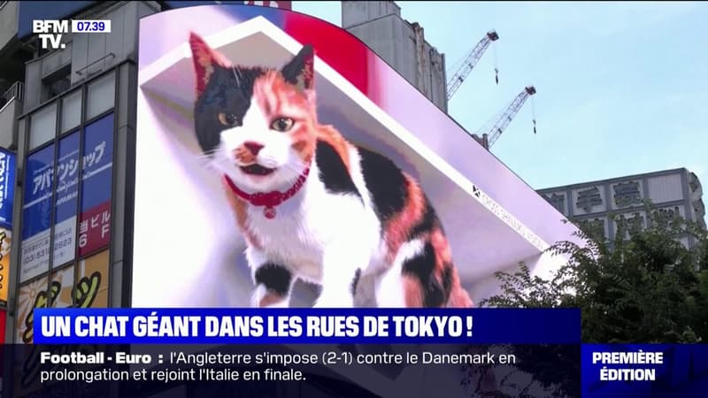 Un chat géant en 3D sur un panneau publicitaire fait sensation dans les rues de Tokyo