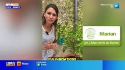 Jardinage & Flûte enchantée - La météo de Colas du mardi 30 septembre 2025 