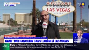 MMA: Ciryl Gane, un Francilien dans l'arène à Las Vegas