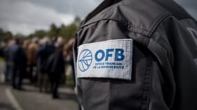 Un logo de l'Office français de la Biodiversité sur la veste d'un agent à Sainte-Montaine, dans le Cher, le 3 mai 2024