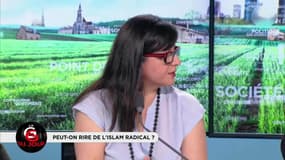 "Cherchez la femme" : "une véritable comédie politique"