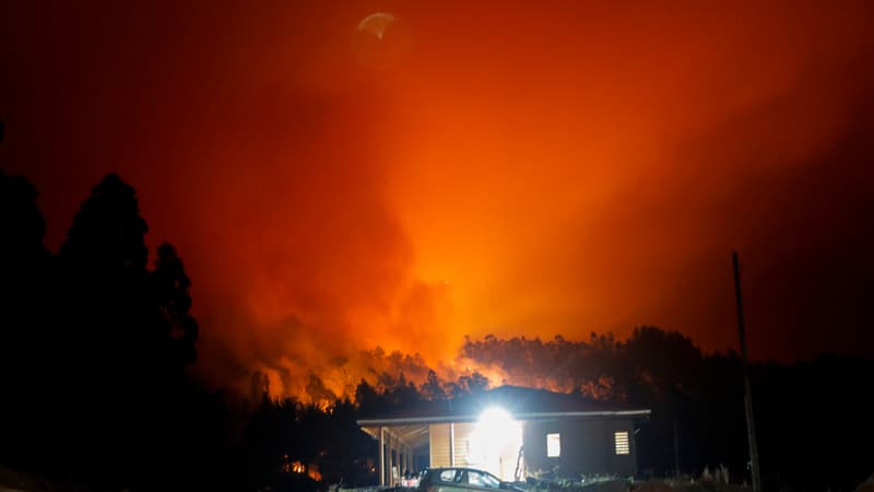 Des dizaines de feux de forêt ravagent plusieurs régions du Chili. Ici à Santa Juana dans la province de Concepción, le 3 février 2023