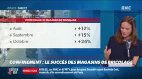 Dupin Quotidien : Confinement, le succès des magasins de bricolage - 24/11