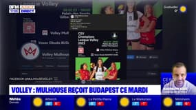 Volley féminin: Mulhouse reçoit Budapest ce mercredi soir