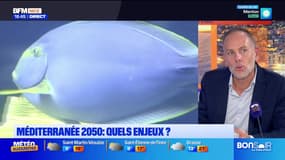 Bonsoir la Côte d'Azur du vendredi 31 octobre 2025