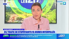 Dix jeunes interpellés dans le cadre d'un trafic de stupéfiants entre les Alpes-de-Haute-Provence et l’Aube