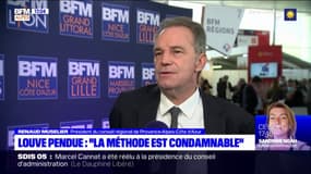 Louve retrouvée pendue: Renaud Muselier, président de la région Provence-Alpes-Côte d'Azur, assure que "la méthode est condamnable"