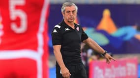 Alain Giresse lors de la Coupe d'Afrique des nations, à Le Caire le 14 juillet 2019