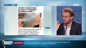 Non, arracher un cheveu blanc n'en fait pas pousser dix