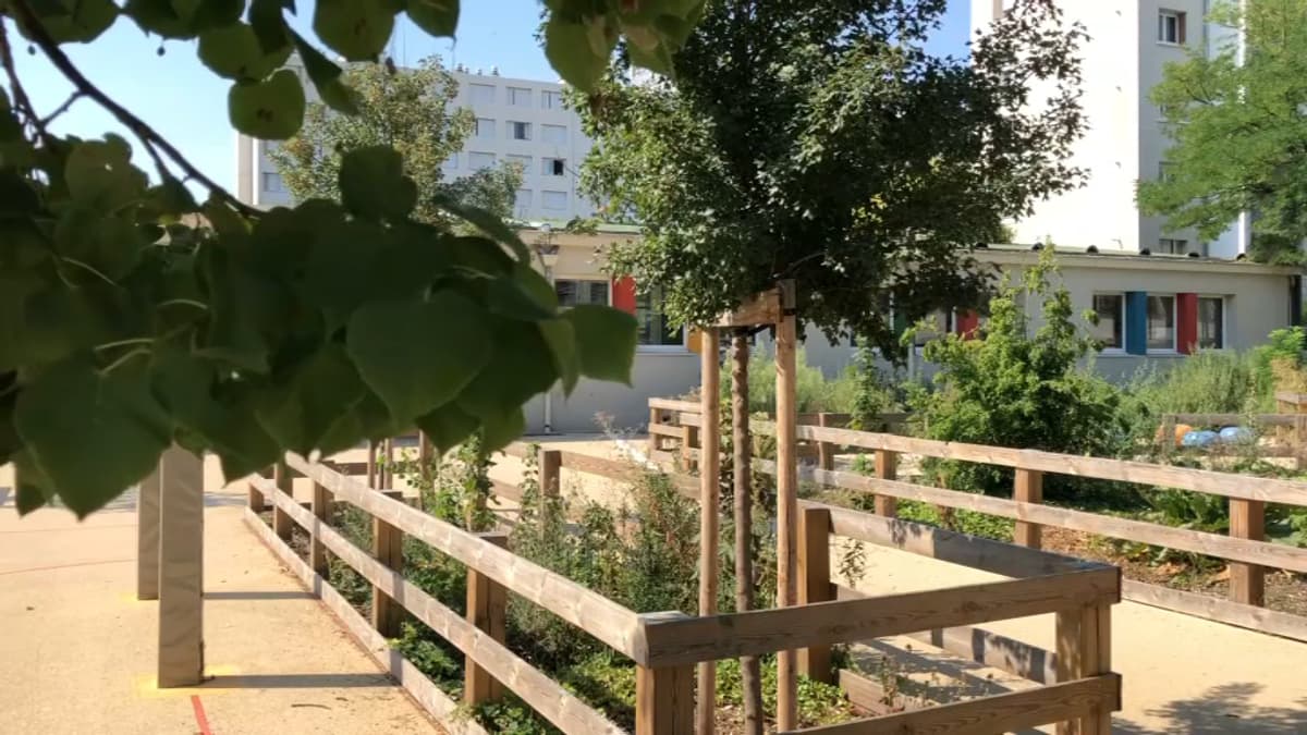 placeholder video