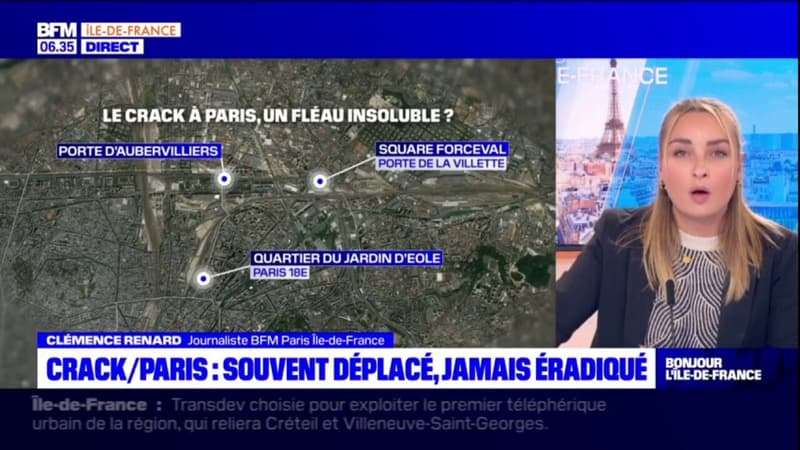 Crack à Paris: comment éradiquer les campements ?