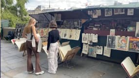 Des boîtes de bouquinistes sur les quais de Seine