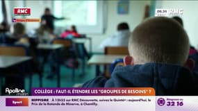 Collège: faut-il étendre les "groupes de besoins"? 