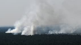 Des volutes de fumée s'élèvent au-dessus de la forêt de Grunewald à Berlin après qu'un grand incendie se soit déclaré dans la forêt populaire suite à une explosion dans un site de stockage de munitions de la police, le 4 août 2022. 