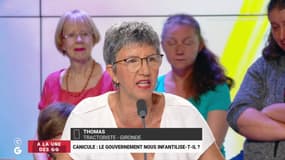 Canicule : "On est chez les fous. Il y a un million d'autres problèmes en France !"