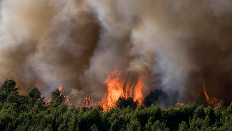 DIRECT. Incendies en France: Laurent Nuñez "très inquiet" pour la saison, le feu dans l'Aude est "fixé"