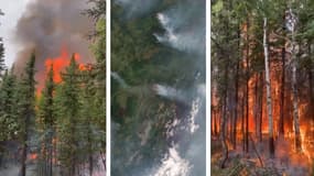 Les forêts de Clear Fire en proie aux incendies en Alaska, à la mi-juillet, ainsi qu'une image satellite des feux qui ravagent l'Etat américain (au milieu).
