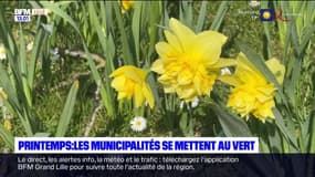 Nord: les municipalités lancent leurs aménagements fleuris pour le printemps