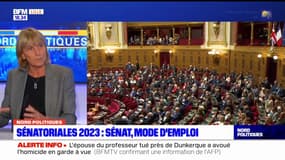 Mode de scrutin, rôle du sénateur: ce qu'il faut savoir sur les élections sénatoriales