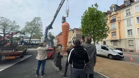 Une carotte géante a été installée à Mulhouse ce jeudi.