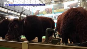 Voyons Voir : L’agriculture en Auvergne Rhône-Alpes