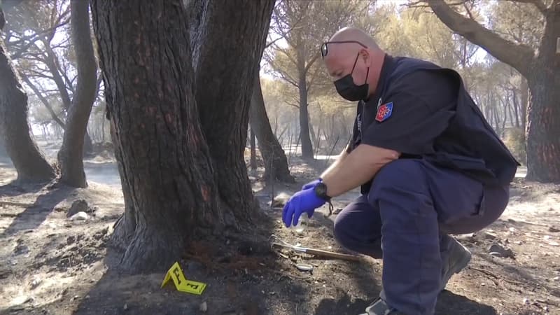 Prélèvements, photos... Incendies: le travail des enquêteurs débute pour déterminer l'origine du feu à Narbonne