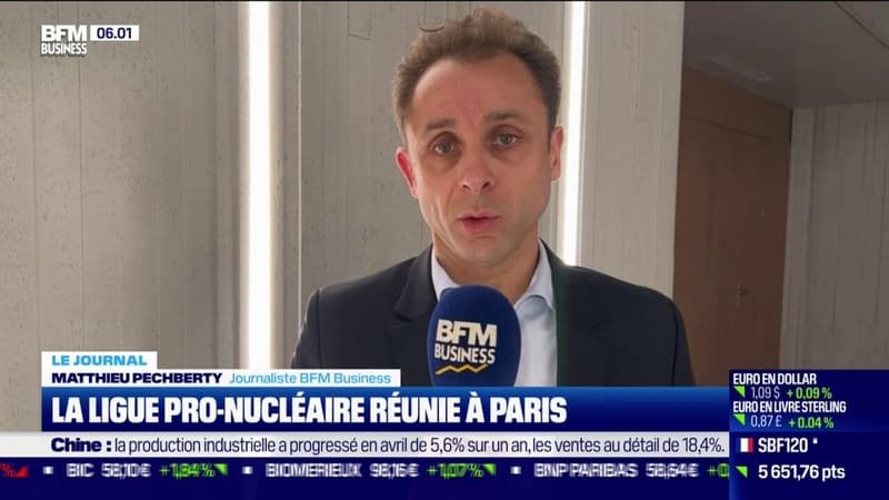 La ligue pro-nucléaire réunie à Paris