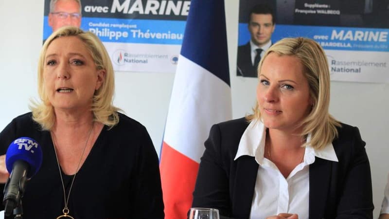 Une députée RN violemment agressée à son domicile, Marine Le Pen dénonce un acte 