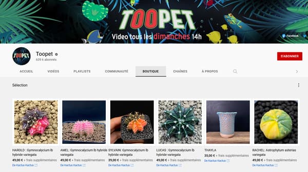 L'onglet "boutique" de la chaîne YouTube de Toopet.