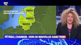 Le plus de 22h Max: Pétrole, charbon, ... vers de nouvelles sanctions contre Moscou ? - 04/04