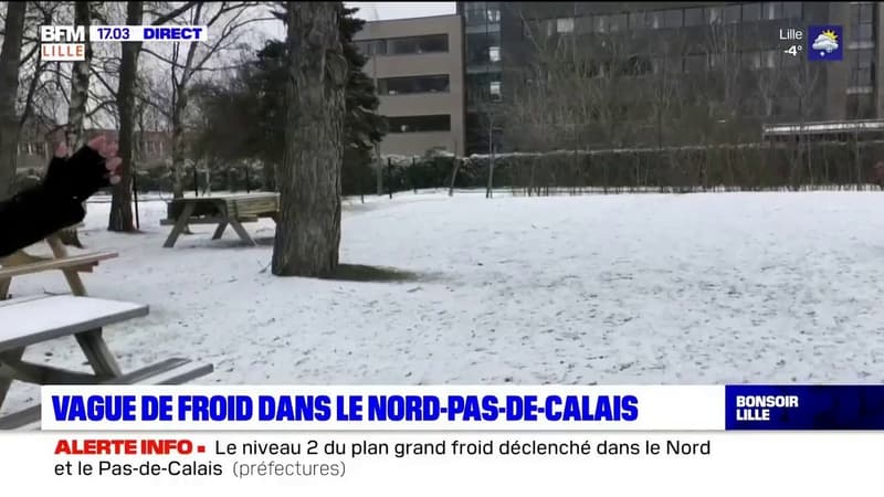 Nord-Pas-de-Calais: une vague de froid attendue dans les prochaines heures