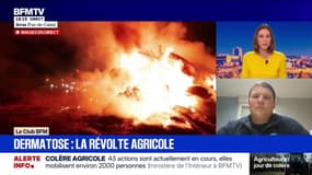 Dermatose bovine: "On a une vraie crise sanitaire, on doit se serrer les coudes pour que l'élevage français s'en sorte", estime Yohann Barbe, porte-parole de la FNSEA