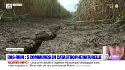 Sécheresse: cinq communes du Bas-Rhin reconnues en état de catastrophe naturelle