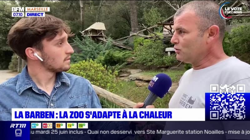 Bouches-du-Rhône: comment le zoo de La Barben s'adapte à la chaleur