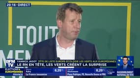 Élections européennes: Yannick Jadot annonce "une vague verte européenne"