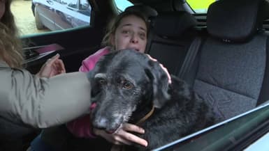  Ana, une survivante retrouve son chien Boro grâce à une forte mobilisation ce jeudi 22 janvier 2026. 