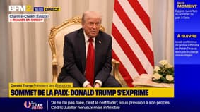 Cessez-le-feu à Gaza: l'Égypte "a joué un rôle très important avec le Hamas", assure Donald Trump