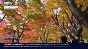 Le break du lundi 17 novembre