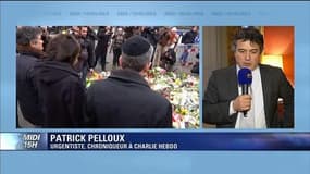 Pelloux "ne peut pas aller bien" avec la "terreur fasciste qui est en train de naître"