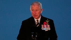 Le prince Charles, le 25 avril 2015
