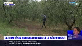 Alpes-Maritimes: un agriculteur s'adapte à la sécheresse 