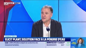 Elicit Plant, solution face à la pénurie d'eau